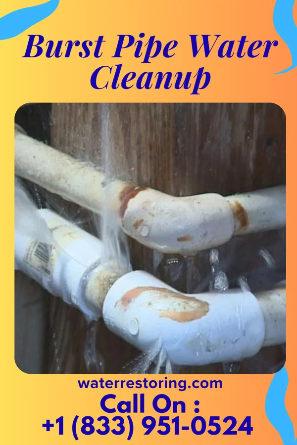 Burst Pipe Water Cleanup in Basin City, WA
