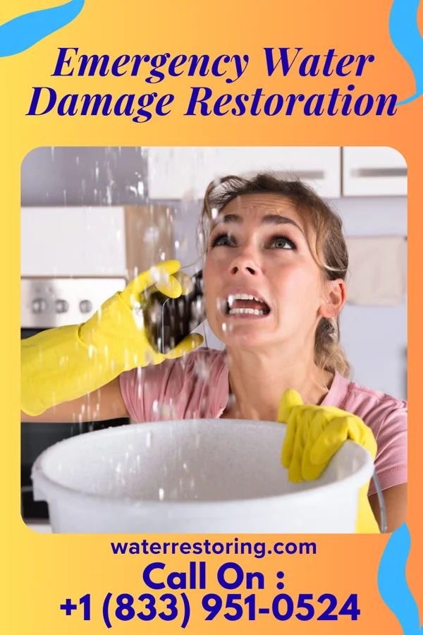 Emergency Water Damage Restoration in Basin City, WA