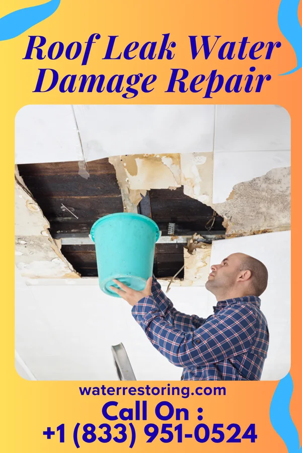 Roof Leak Water Damage Repair in Basin City, WA